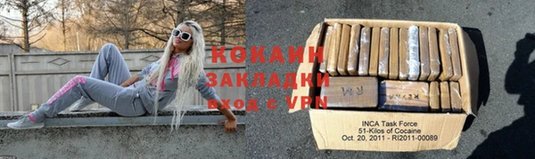молекула духа Няндома