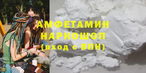 молекула духа Няндома