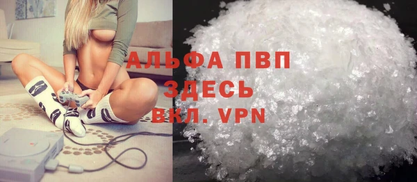 молекула духа Няндома