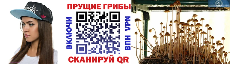 Галлюциногенные грибы мухоморы  ОМГ ОМГ рабочий сайт  Асбест  как найти  