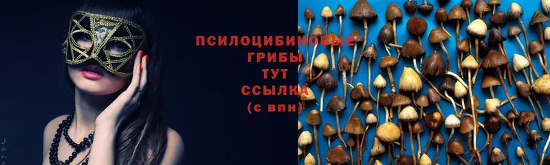 Галлюциногенные грибы Magic Shrooms  как найти закладки  Асбест 