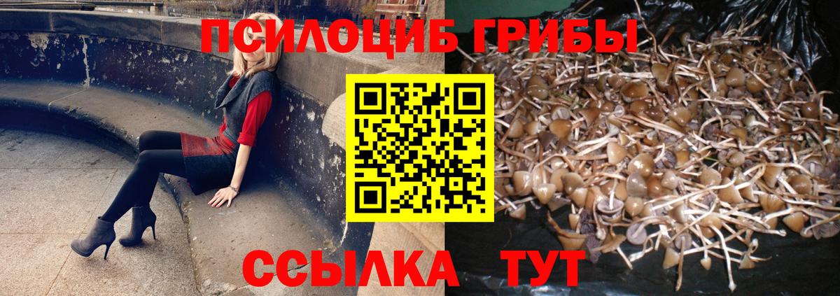 Галлюциногенные грибы Cubensis  Галлюциногенные грибы мицелий  Асбест  Вход с VPN 